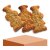 Butterspekulatius 200 g Beutel
